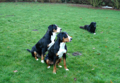 Eliza, Chanoek und Hannes