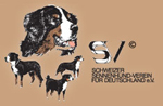 Schweizer Sennenhund-Verein für Deutschland e.V. (SSV)
